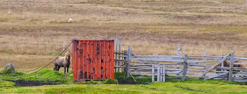 Iceland farm