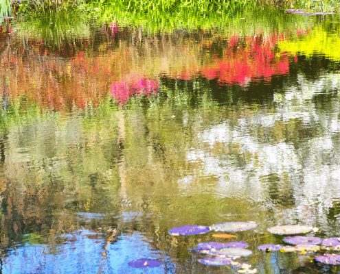 reflection-on-monets-pond2