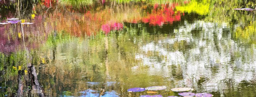 reflection-on-monets-pond2