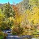 spearfish-canyon-hdr